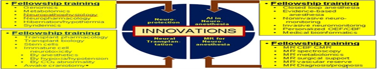 Role of Fellowship Training in Furthering Innovations in Perioperative Neuroscience