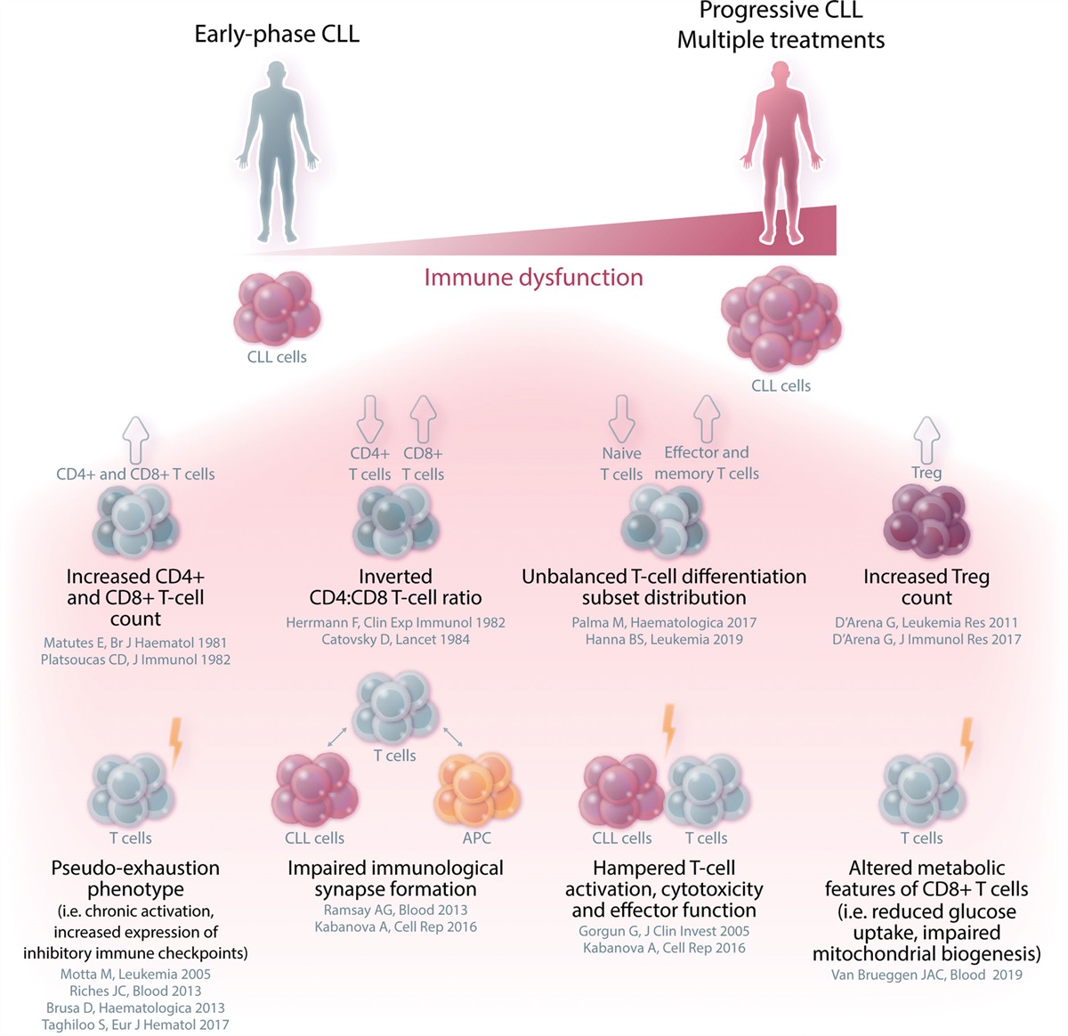 CAR-modified Cellular Therapies in Chronic Lymphocytic Leukemia: Is the Uphill Road Getting Less Steep?