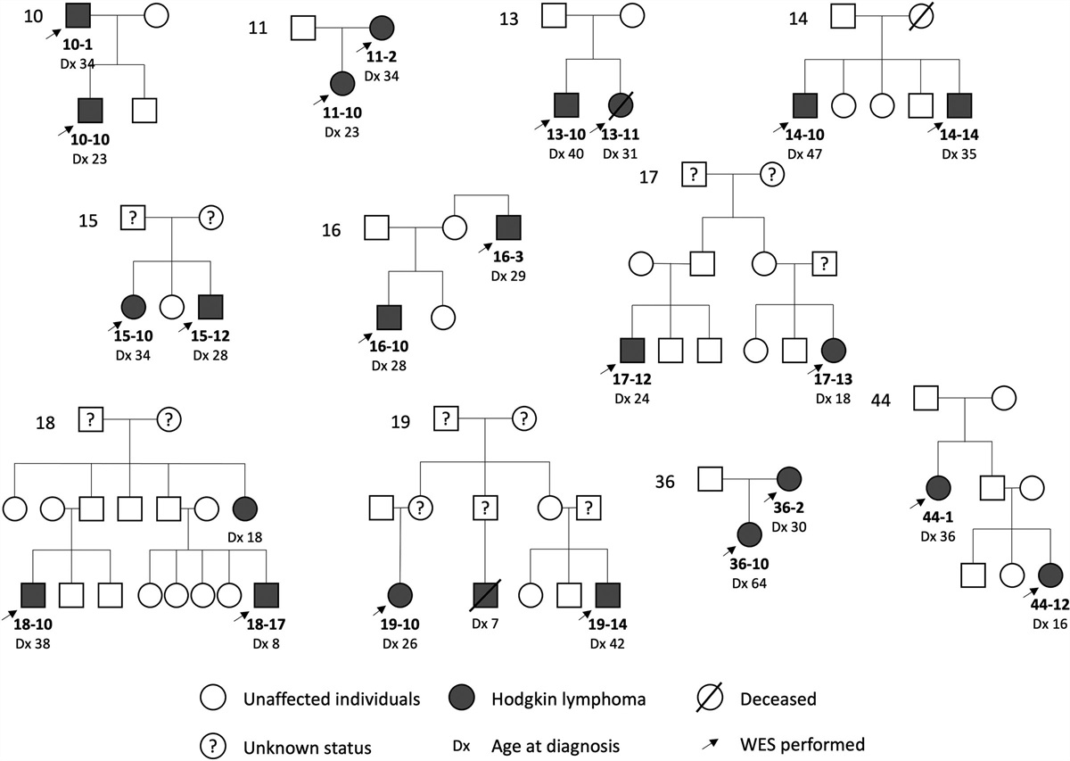 CCNF (Cyclin F) as a Candidate Gene for Familial Hodgkin Lymphoma: Additional Evidence for the Importance of Mitotic Checkpoint Defects in Tumorigenesis