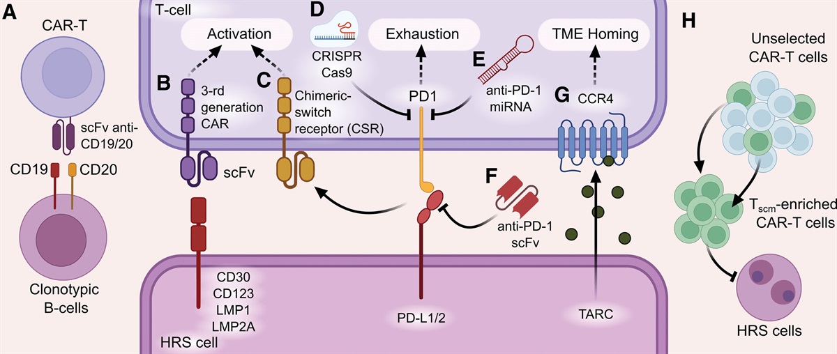 CAR-T Cell Therapy for Classical Hodgkin Lymphoma