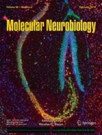Role of Maternal Immune Factors in Neuroimmunology of Brain Development