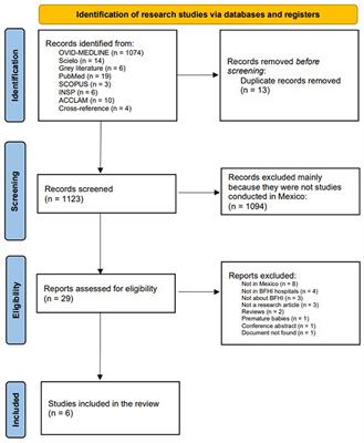 Implementation of the Baby-Friendly Hospital Initiative in Mexico: a systematic literature review using the RE-AIM framework