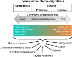 Toward understanding the endocrine regulation of diverse facultative migration strategies
