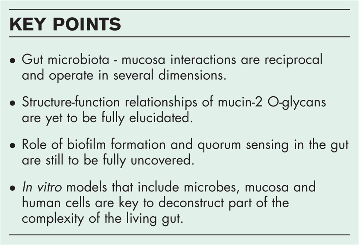 The Rosetta Stone of interactions of mucosa and associated bacteria in the gastrointestinal tract