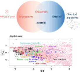Blurred lines: Crossing the boundaries between the chemical exposome and the metabolome