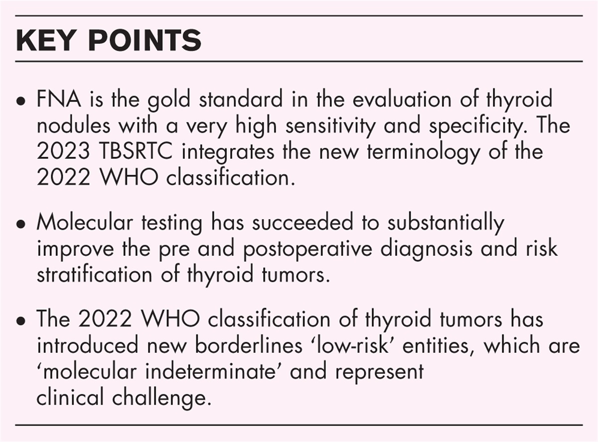 Pathology and new insights in thyroid neoplasms in the 2022 WHO classification