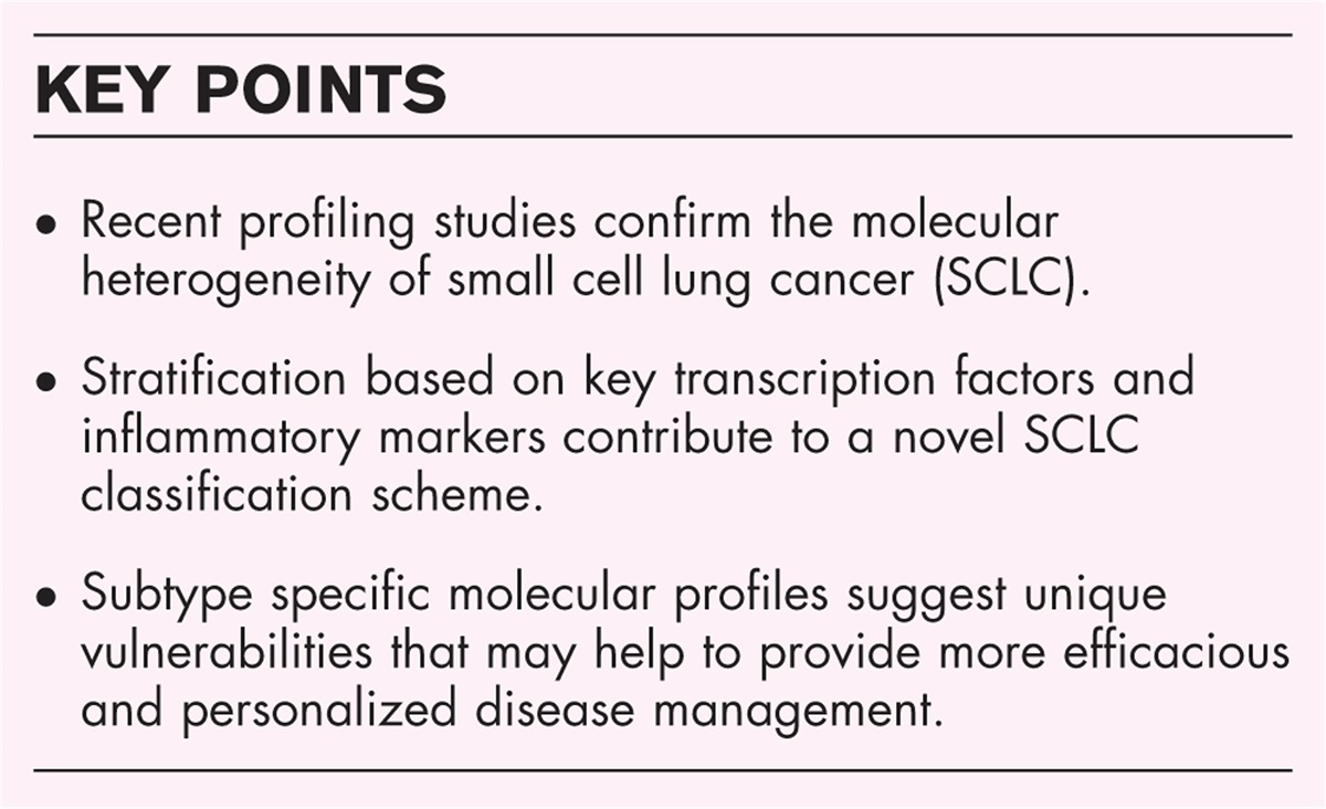 Potential subtype-specific therapeutic approaches in small cell lung cancer
