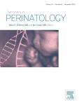 U.S. Stillbirth Surveillance: The National Fetal Death File and Other Data Sources