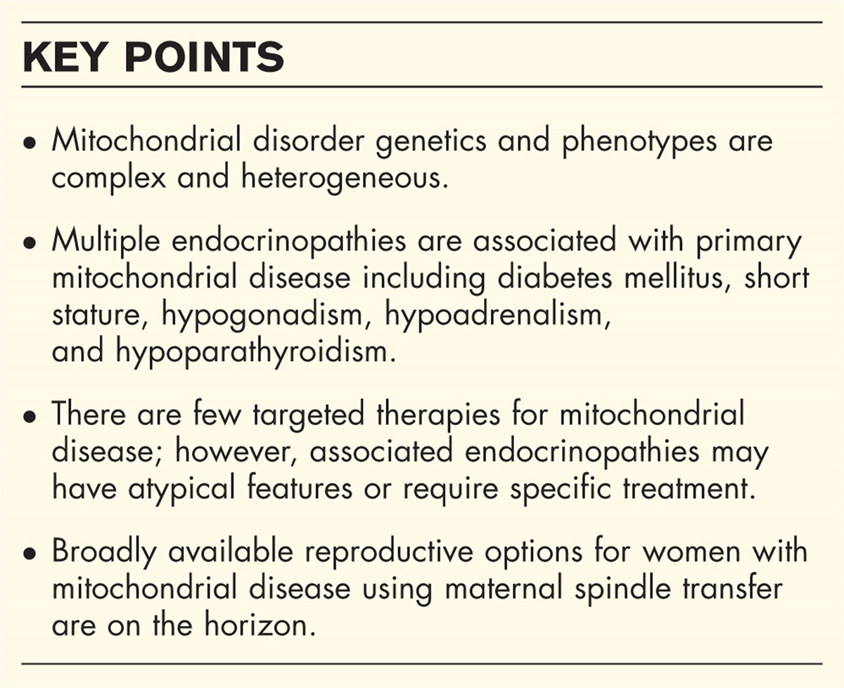 Endocrine features of primary mitochondrial diseases