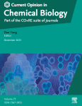 Synthesis and application of bacterial exopolysaccharides
