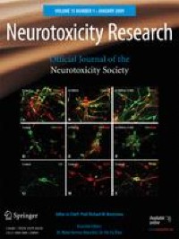 Local Administrations of Iron Oxide Nanoparticles in the Prefrontal Cortex and Caudate Putamen of Rats Do Not Compromise Working Memory and Motor Activity