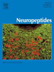 Immunohistochemical determination of the excitatory and inhibitory axonal endings contacting NUCB2/nesfatin-1 neurons