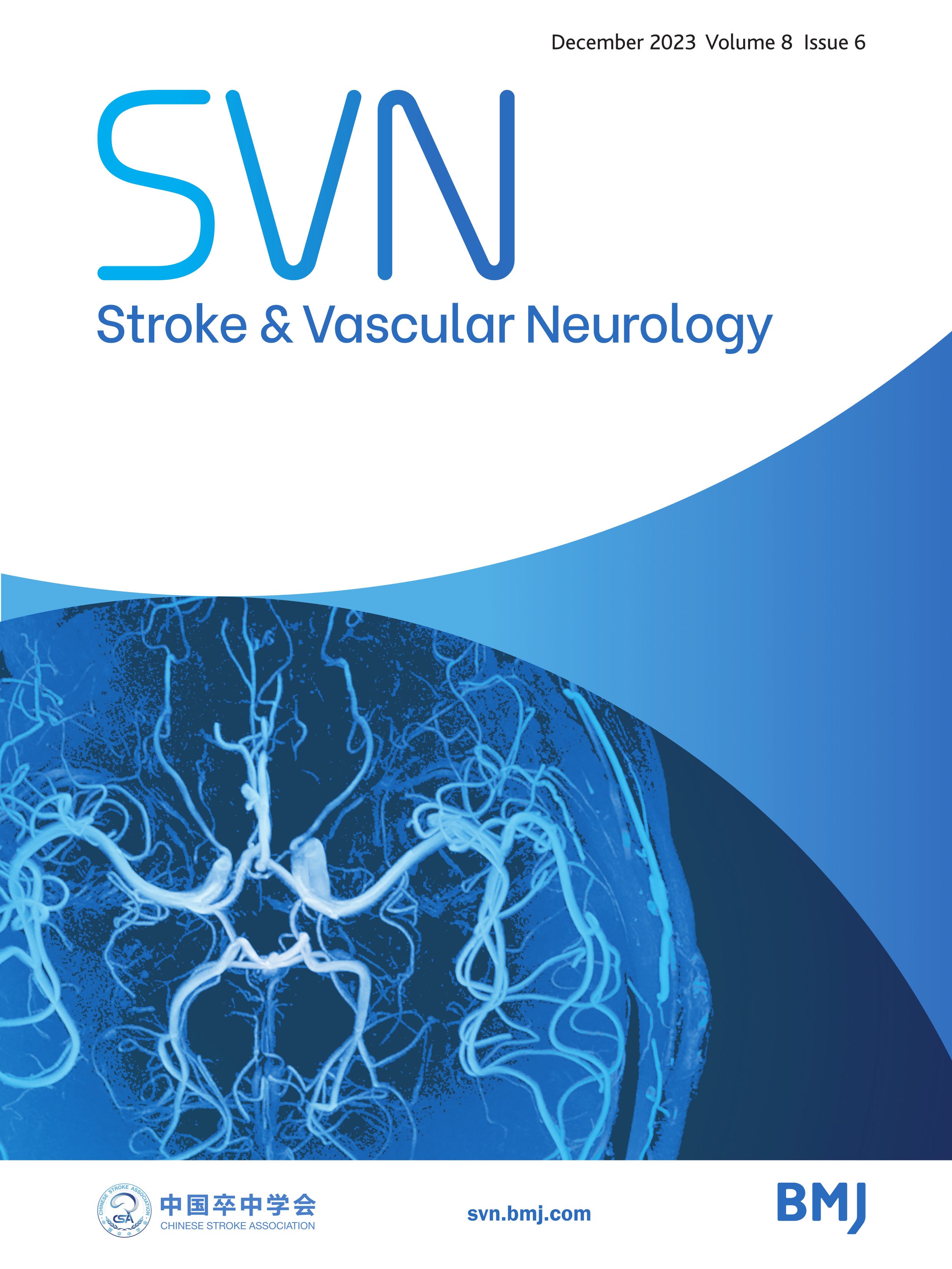 Chinese Stroke Association guidelines for clinical management of ischaemic cerebrovascular diseases: executive summary and 2023 update