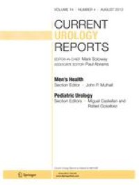 Reconstruction Techniques After Partial Nephrectomy: Classic vs. Sutureless Approach—A Narrative Review