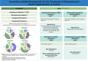 Currently available prostanoids for the treatment of glaucoma and ocular hypertension: A review
