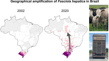 Geographic expansion of Fasciola hepatica (Linnaeus, 1758) due to changes in land use and cover in Brazil