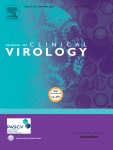 CYTOMEGALOVIRUS DETECTED BY qPCR IN IRIS AND CILIARY BODY OF IMMUNOCOMPETENT CORNEAL DONORS