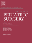 Framework for Pediatric Robotic Surgery Program Development