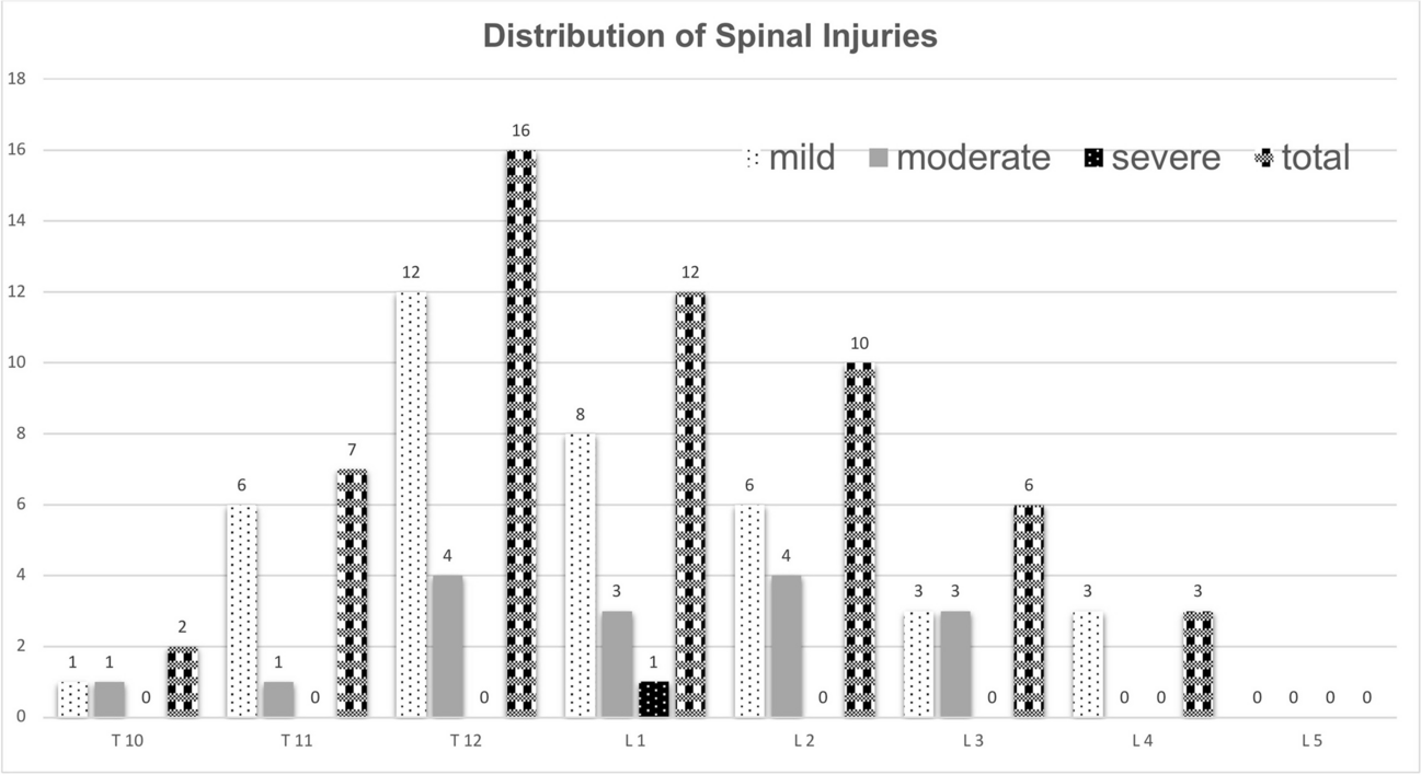 Supplementary value and diagnostic performance of computed tomography scout view in the detection of thoracolumbar spine injuries