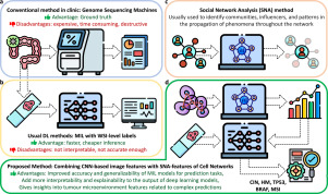 Social network analysis of cell networks improves deep learning for prediction of molecular pathways and key mutations in colorectal cancer