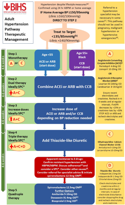 Adult hypertension referral pathway and therapeutic management: British and Irish Hypertension Society position statement