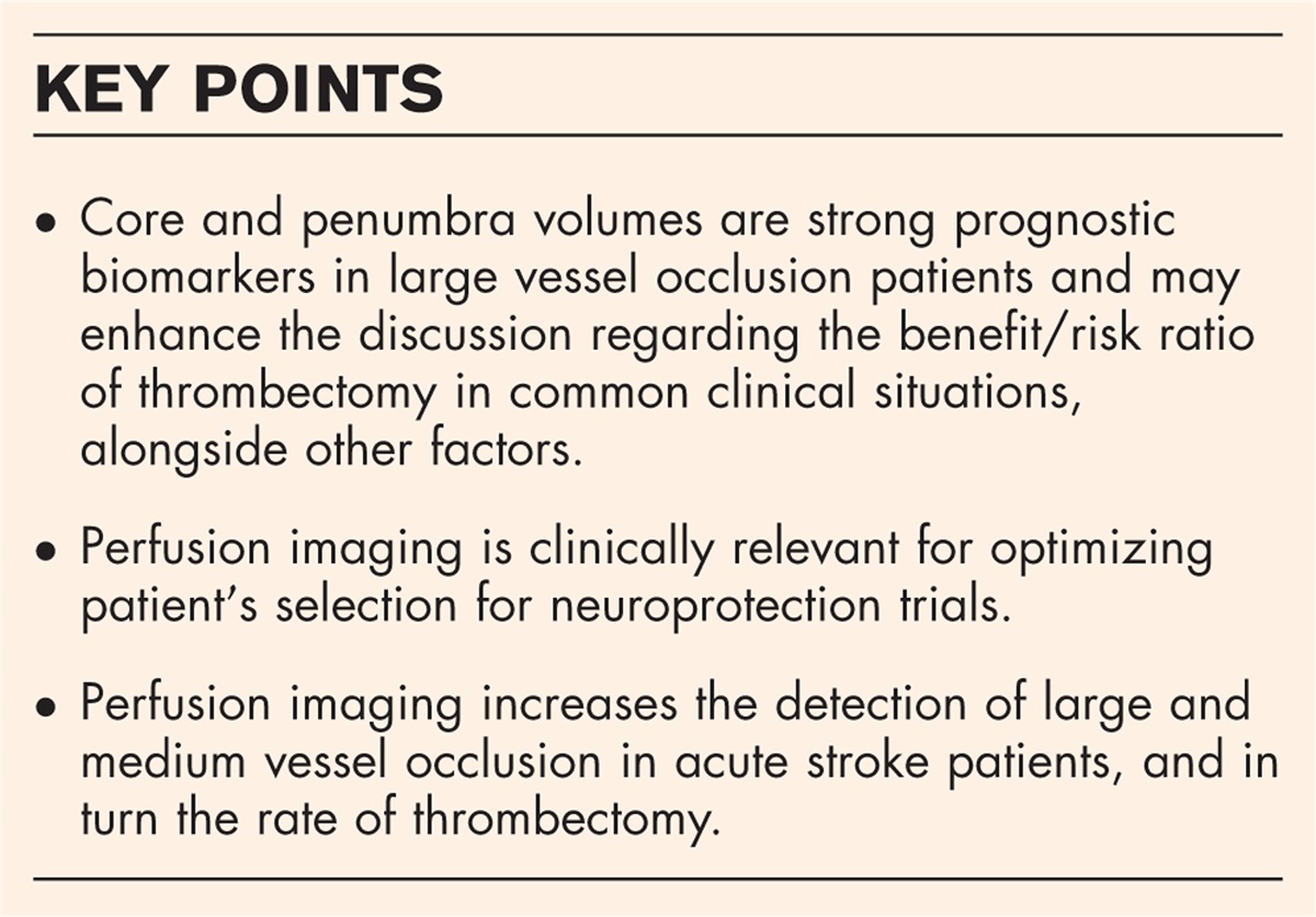 Does imaging of the ischemic penumbra have value in acute ischemic stroke with large vessel occlusion?