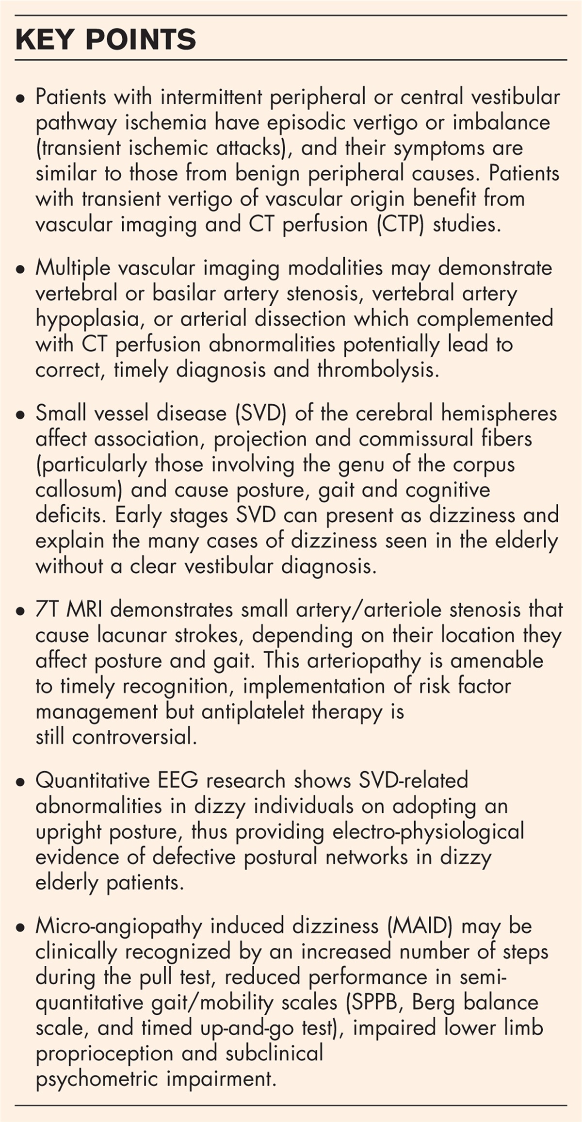 Vascular neuro-otology: vestibular transient ischemic attacks and chronic dizziness in the elderly