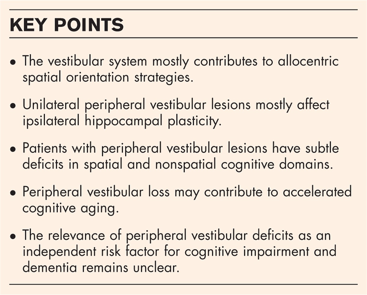 Vestibular contribution to spatial orientation and navigation