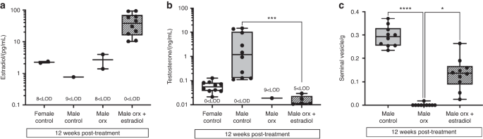 Estradiol increases cortical and trabecular bone accrual and bone strength in an adolescent male-to-female mouse model of gender-affirming hormone therapy