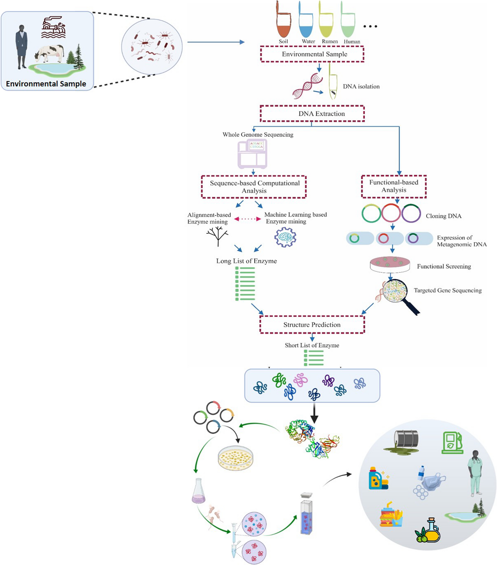 Precision enzyme discovery through targeted mining of metagenomic data