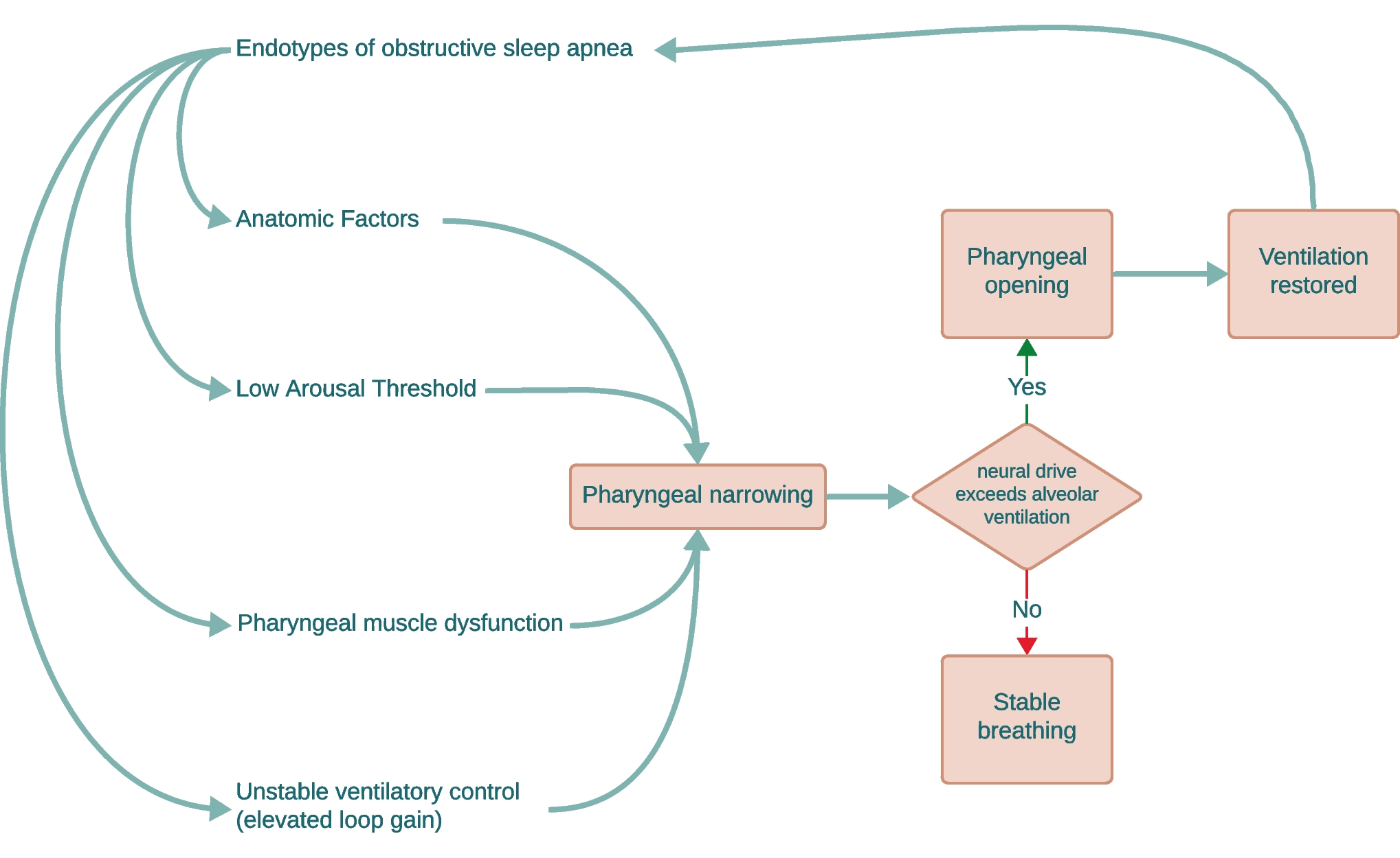 Assessing and Managing Surgical Risk in Obstructive Sleep Apnea: A Narrative Review