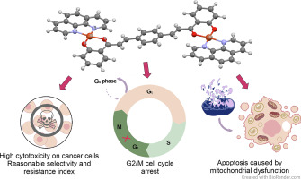 Dinuclear copper(II) complexes with a bridging bis(chalcone) ligand reveal considerable in vitro cytotoxicity on human cancer cells and enhanced selectivity