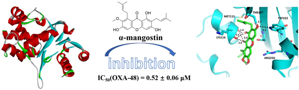 Identification of α-mangostin as a potent inhibitor of β-lactamase OXA-48