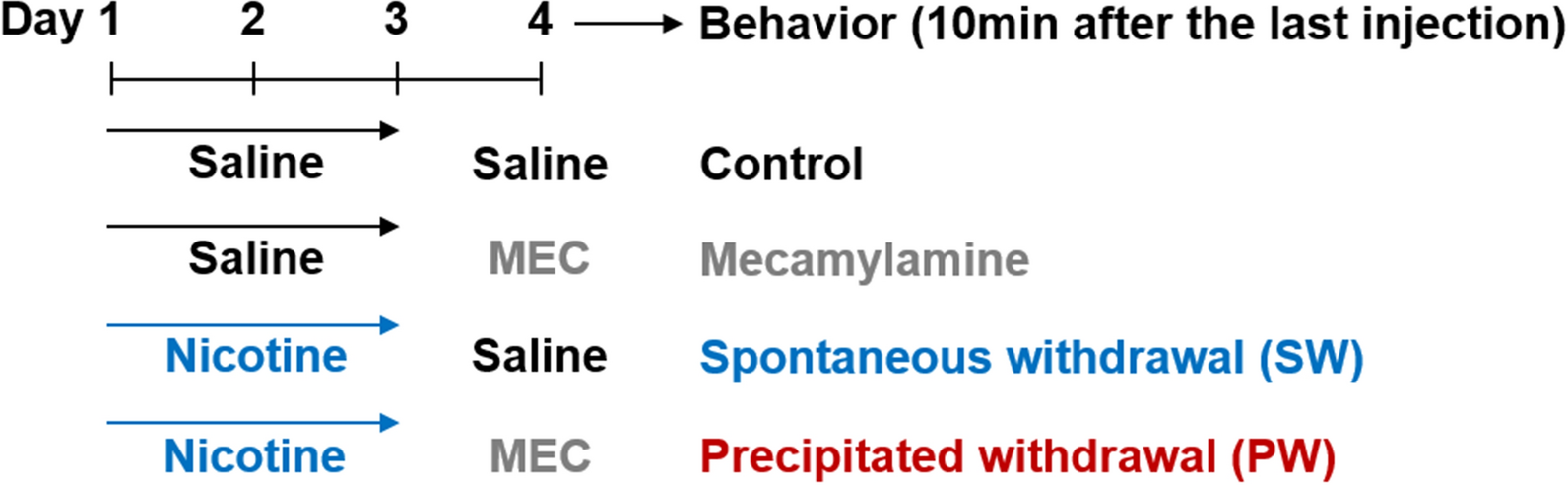 Behavioral characterization of early nicotine withdrawal in the mouse: a potential model of acute dependence