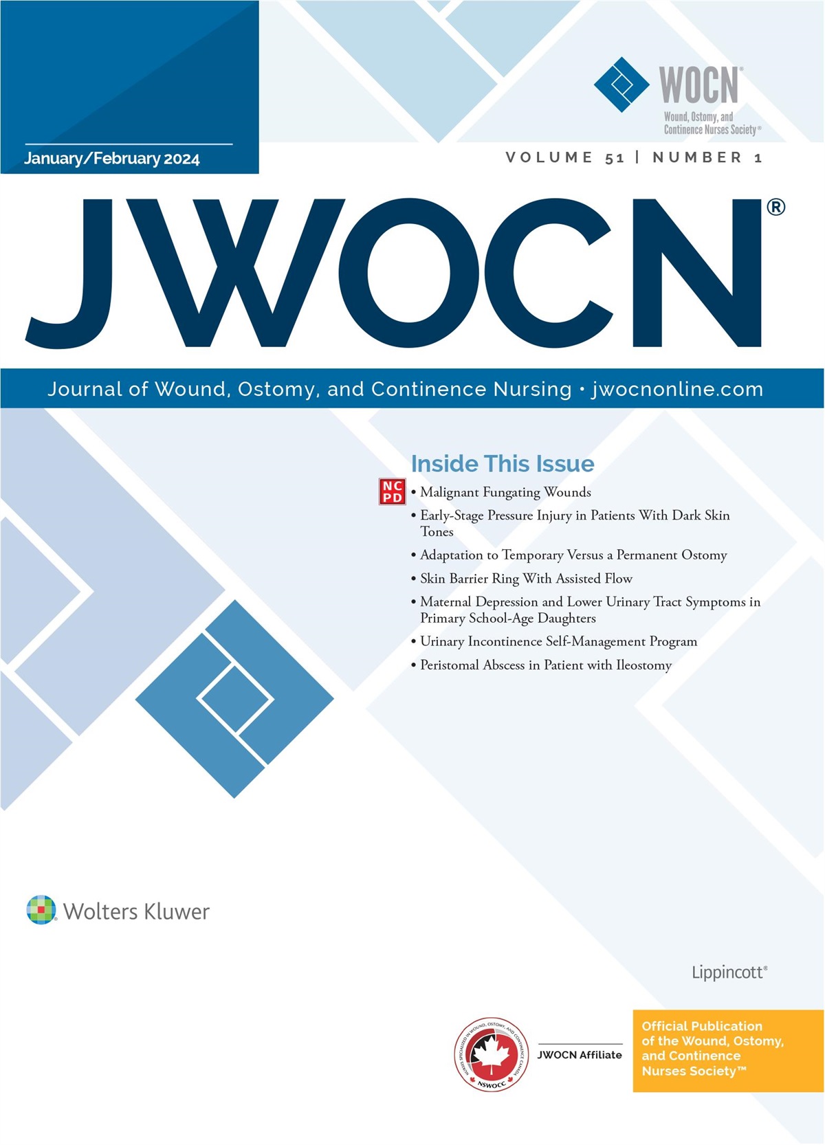 Context for Practice: Scope and Mission: Insights Into Manuscript Selection and a Summary of the Current Issue of JWOCN