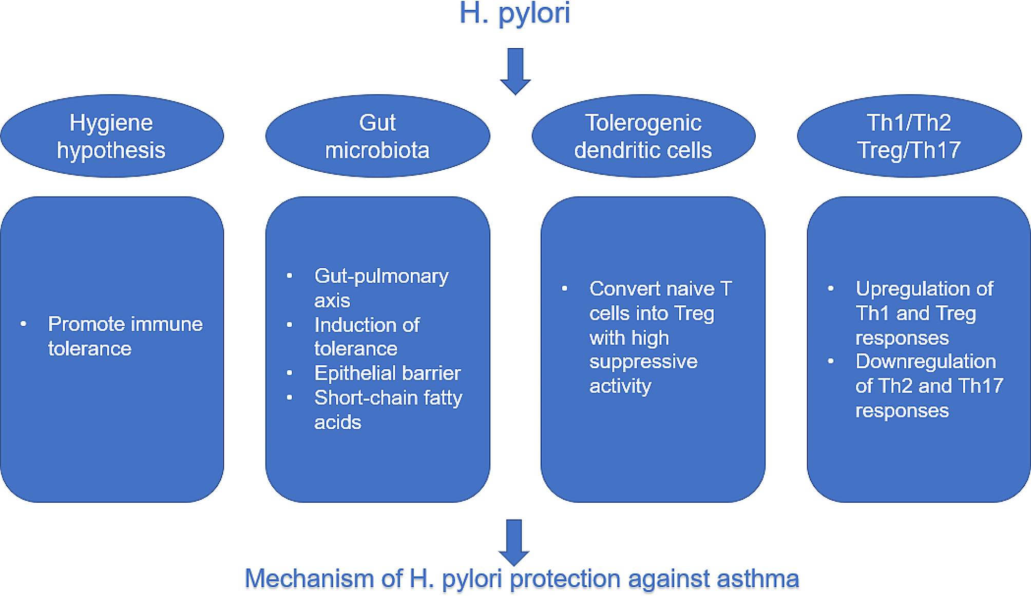 Update on the association between Helicobacter pylori infection and asthma in terms of microbiota and immunity