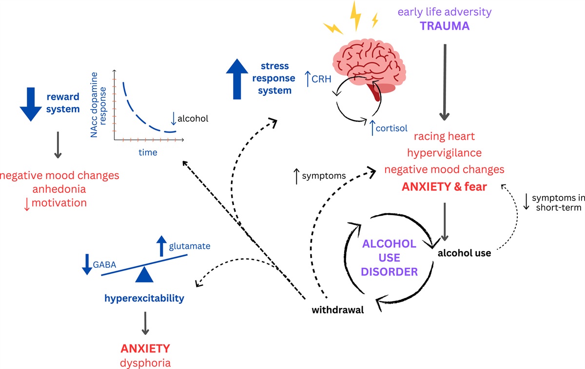 Bridging Neuroscience and Clinical Assessment in a Patient with Alcohol Use Disorder, Anxiety, and Trauma