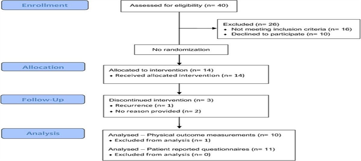 Prospective Single-Arm Feasibility of Supervised Virtual Exercise in Women Living with Ovarian Cancer: The BE-BALANCED Study
