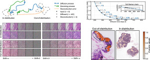 Diffusion models for out-of-distribution detection in digital pathology