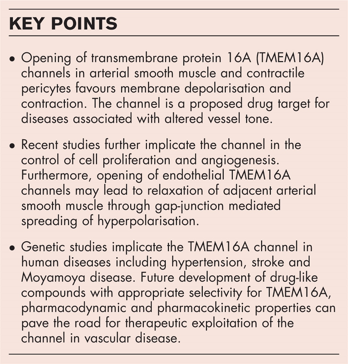 The TMEM16A channel as a potential therapeutic target in vascular disease