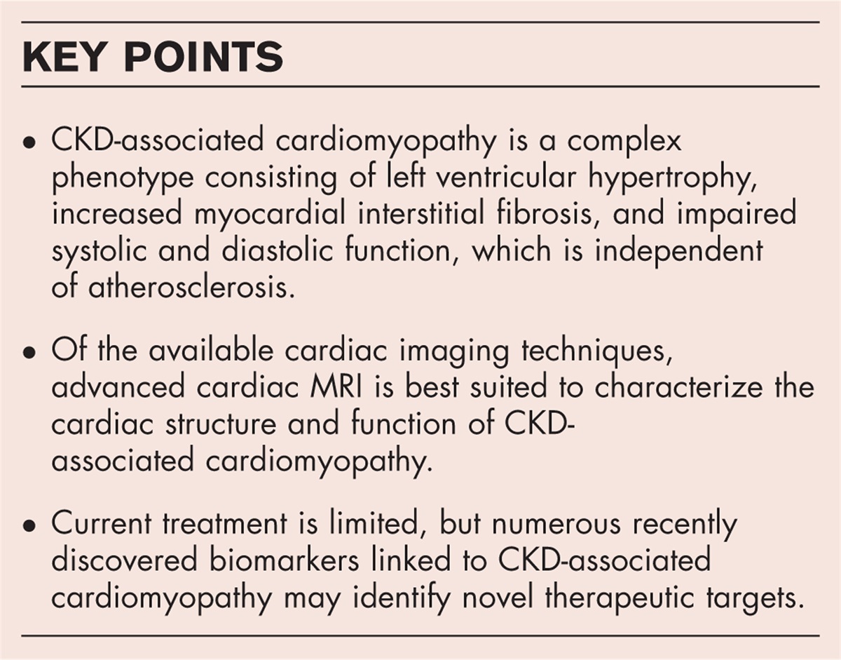 Chronic kidney disease associated cardiomyopathy: recent advances and future perspectives