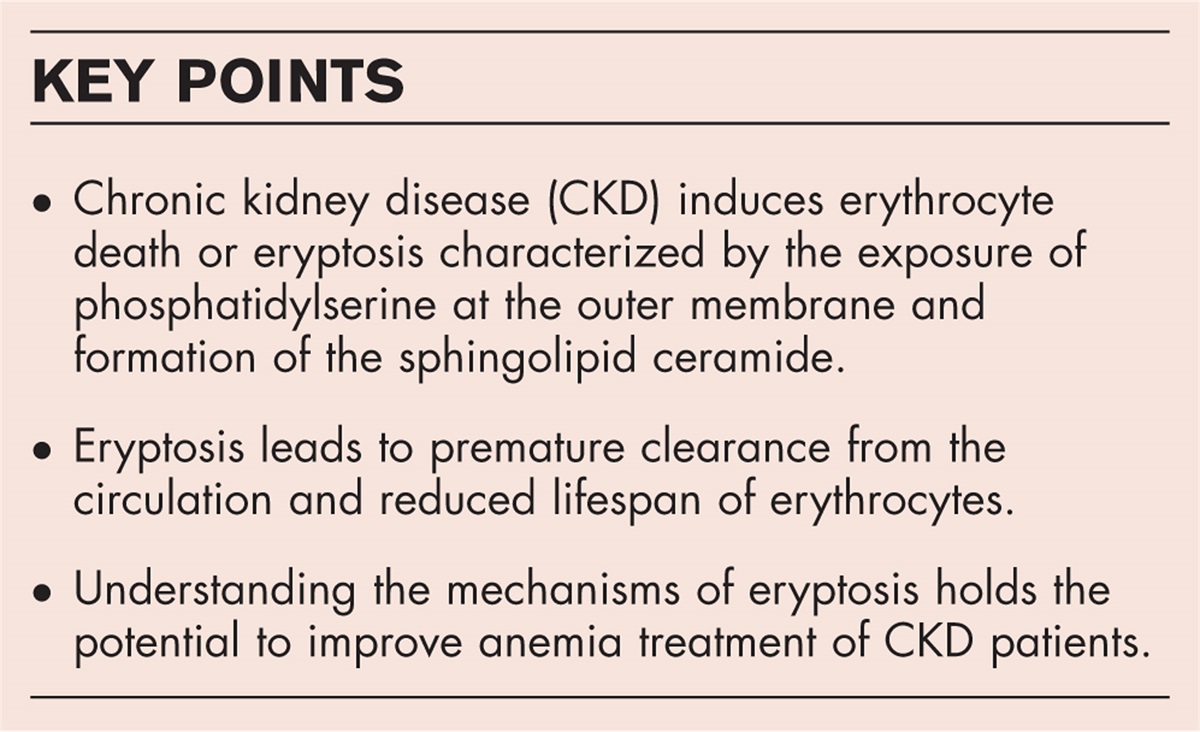 Eryptosis: a driver of anemia in chronic kidney disease