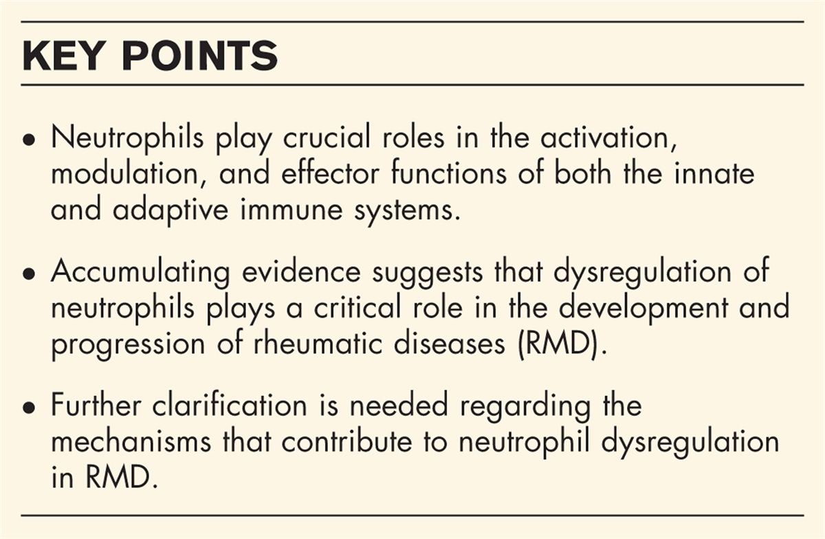 Recent advances on neutrophil dysregulation in the pathogenesis of rheumatic diseases