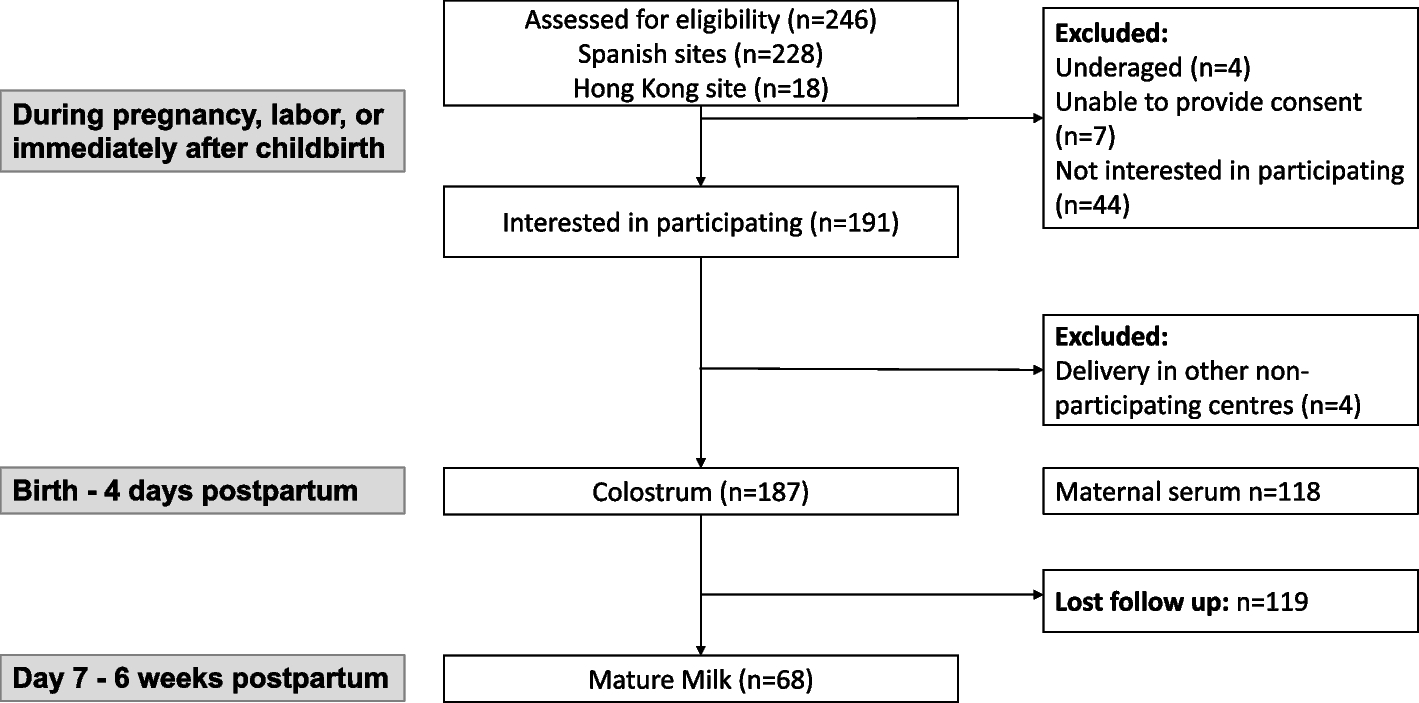 Anti-SARS-CoV-2-specific antibodies in human breast milk following SARS-CoV-2 infection during pregnancy: a prospective cohort study