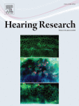 Auditory processing control by the medial prefrontal cortex: A review of the rodent functional organisation