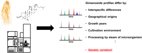 Mass spectrometry-based ginsenoside profiling: Recent applications, limitations, and perspectives