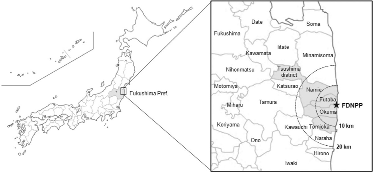 Relationship between the Residual Cesium Body Contents and Individual Behaviors among Evacuees from Municipalities near the Fukushima Daiichi Nuclear Power Plant