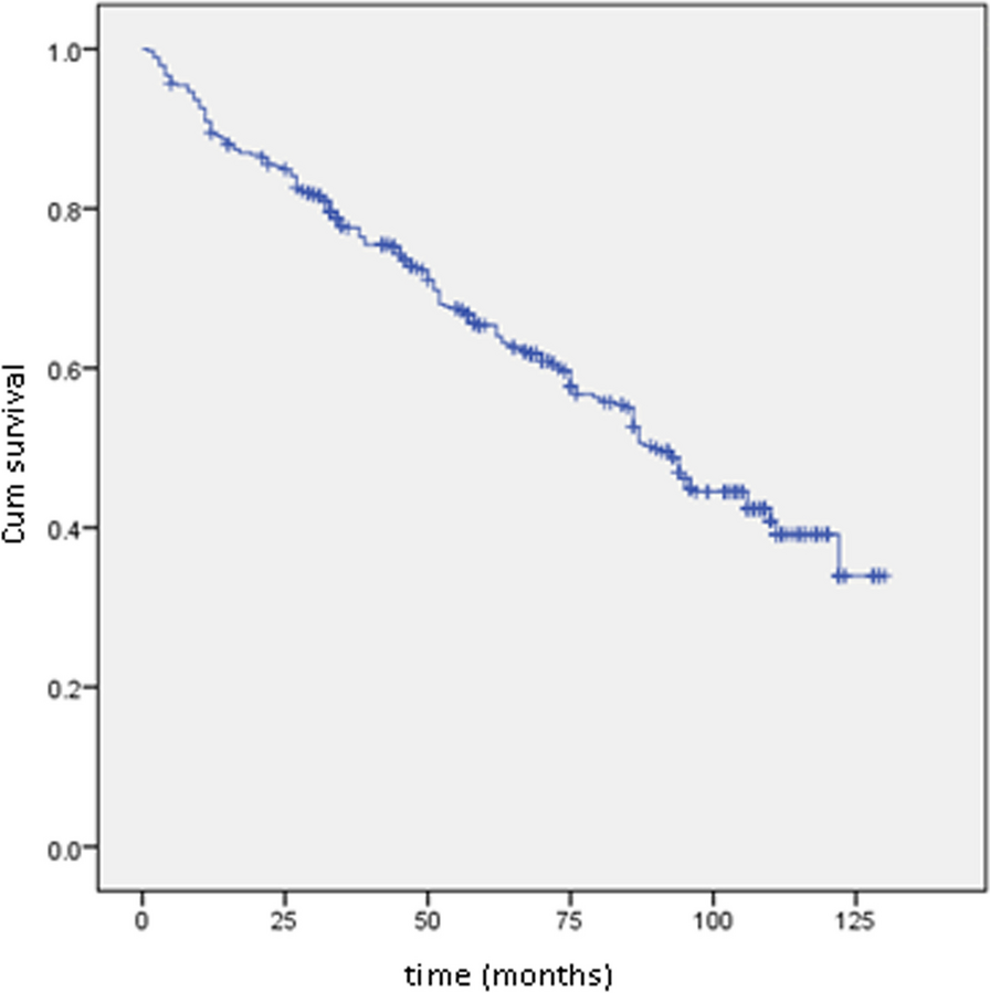 Predictors of mortality in heart failure patients with reduced or mildly reduced Ejection Fraction: The CASABLANCA HF Study