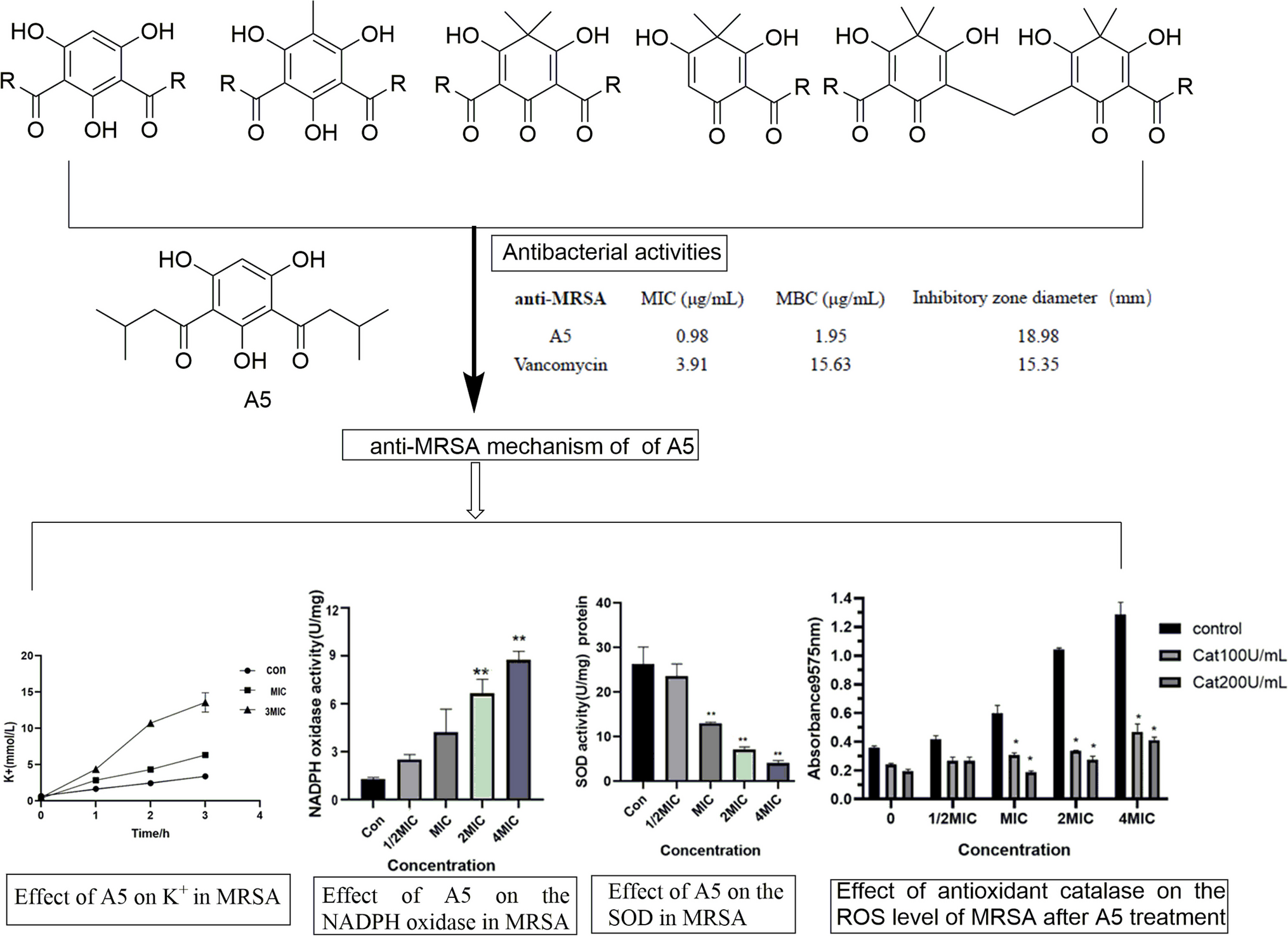 Antimicrobial activity and mechanism of anti-MRSA of phloroglucinol derivatives