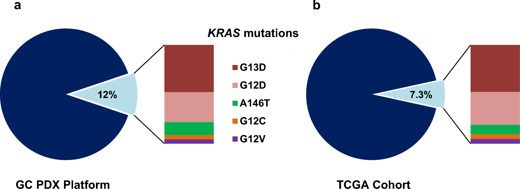 Biological and targeting differences between the rare KRAS A146T and canonical KRAS mutants in gastric cancer models